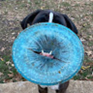 Meet your Posher, Brie